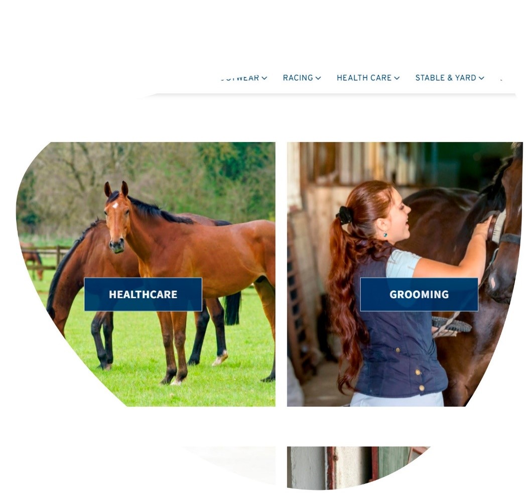 TRI Equestrian project page